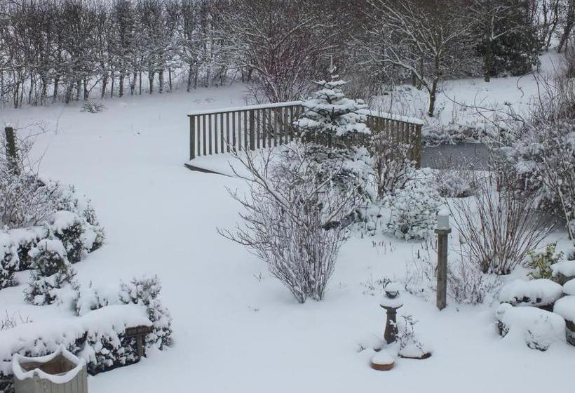 Goltho House Bed & Breakfast