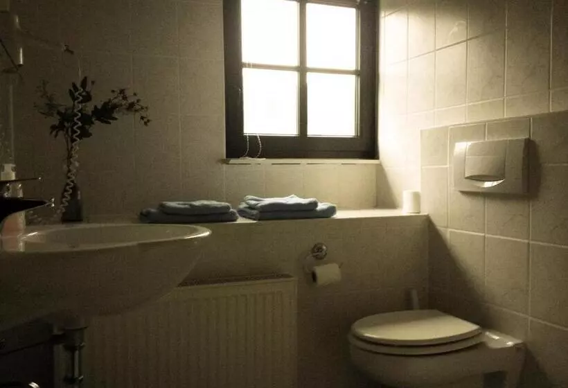 Hotelli Altes Bierhaus