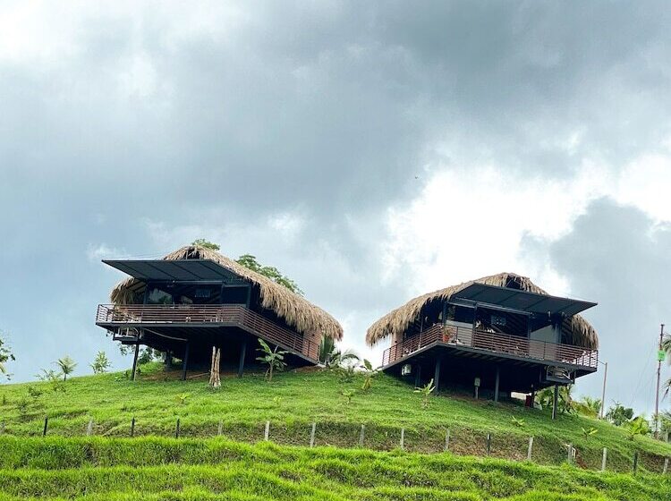 酒店 La Manola Finca