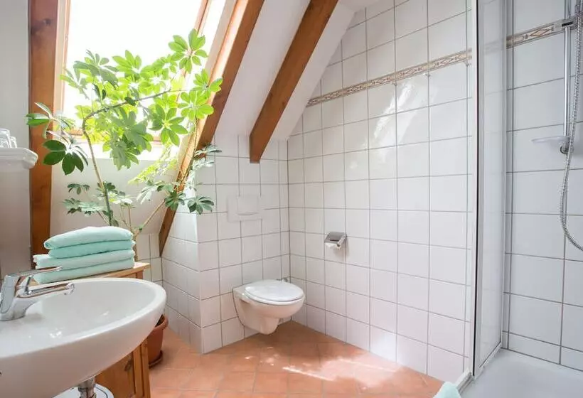 Hotelli Und Landgasthaus Zur Grünen Erle