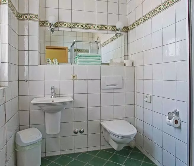 Hotelli Und Landgasthaus Zur Grünen Erle