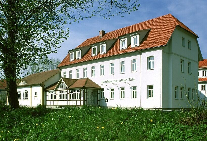 酒店 Und Landgasthaus Zur Grünen Erle