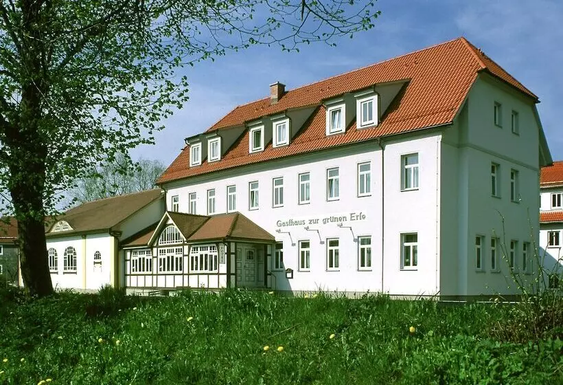 Hotelli Und Landgasthaus Zur Grünen Erle