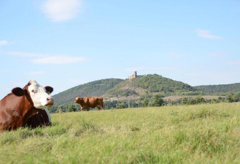 Отель Wandersleben   Erfurt