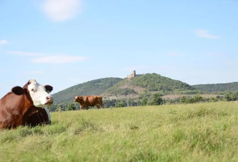 Hotelli Wandersleben   Erfurt
