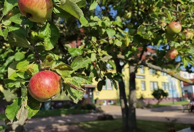 Отель Wandersleben   Erfurt