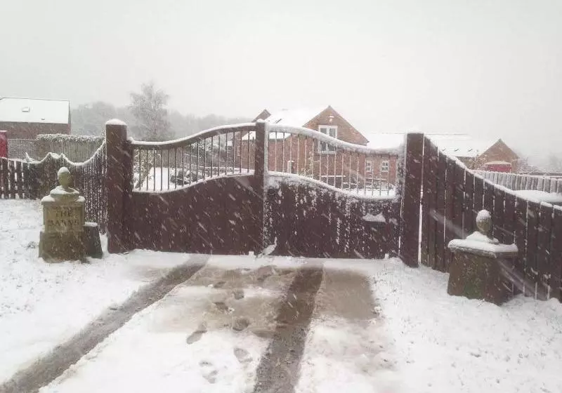 Majatalo Starshinezzz