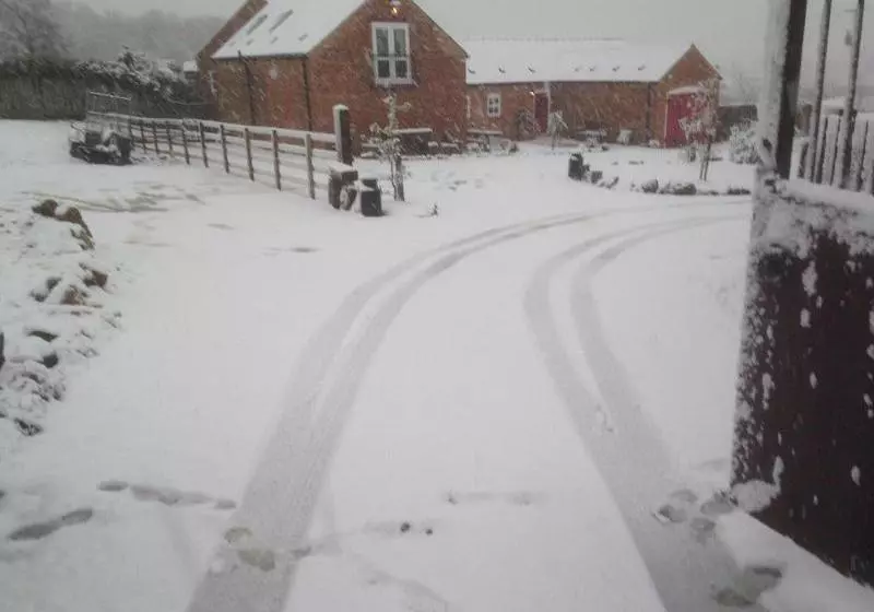 Majatalo Starshinezzz