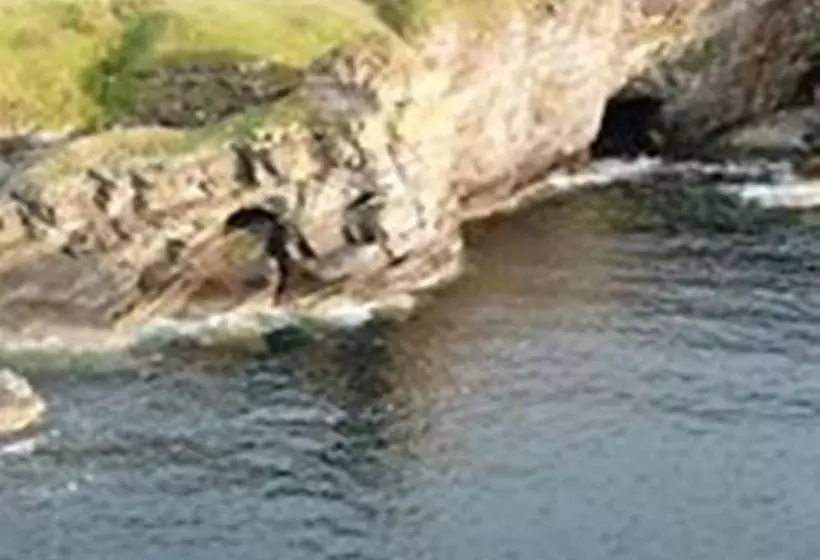Windhaven B&b