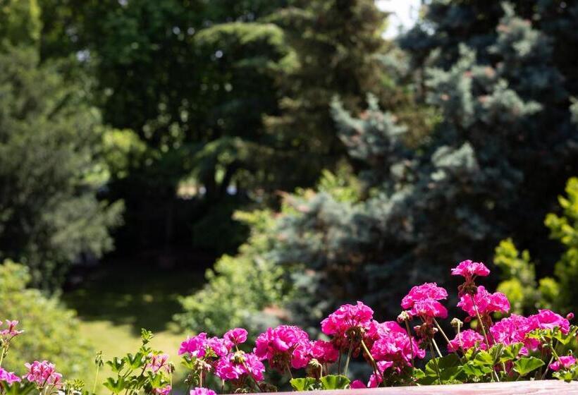 בית מלון כפרי Restaurant Krone