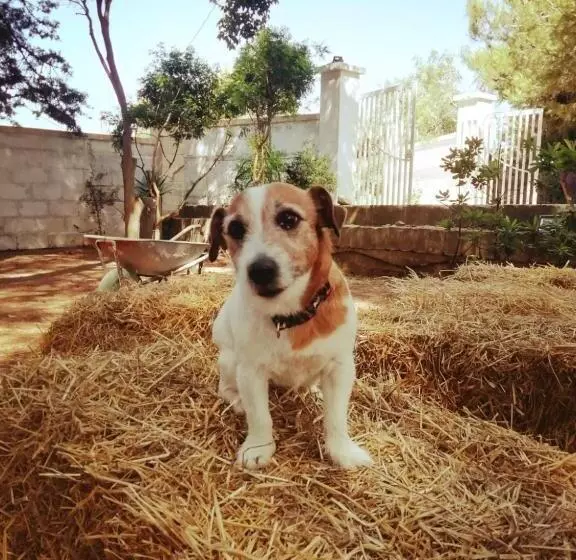 Lomakeskus A Casa Noscia   Bb San Pietro In Bevagna Charming House