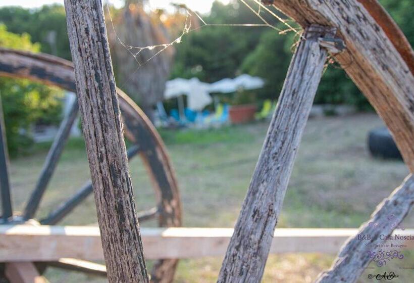 Resort Otel A Casa Noscia Bb San Pietro In Bevagna Charming House