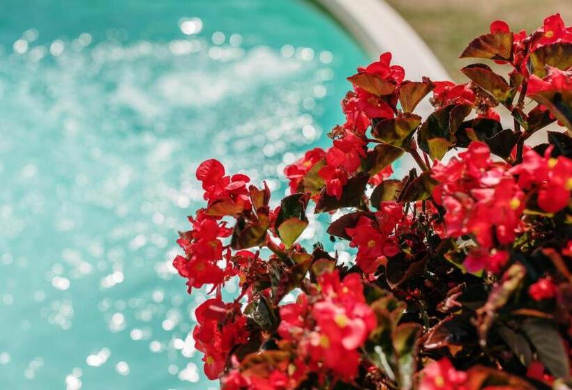 リゾートホテル Borgo Villa A Sesta