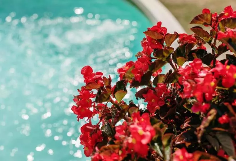 リゾートホテル Borgo Villa A Sesta