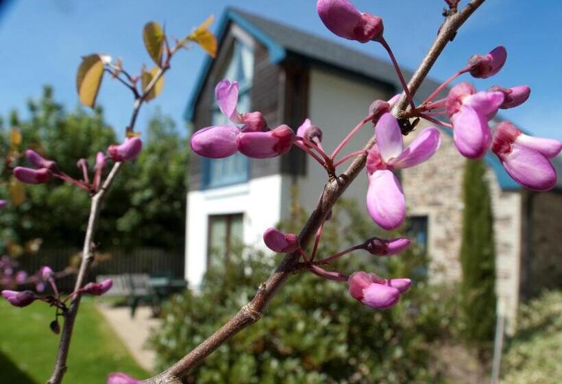渡假胜地  The Valley