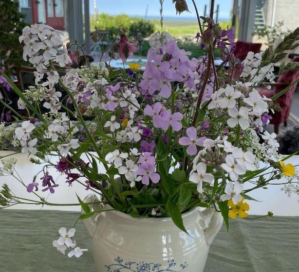 تختخواب و صبحانه Cocoon Meetings