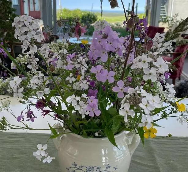 ベッドアンドブレックファースト Cocoon Meetings