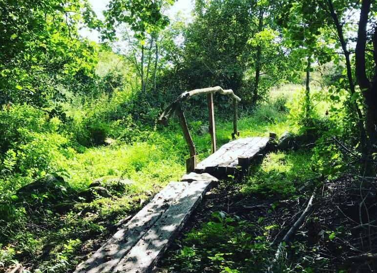 تختخواب و صبحانه Cocoon Meetings