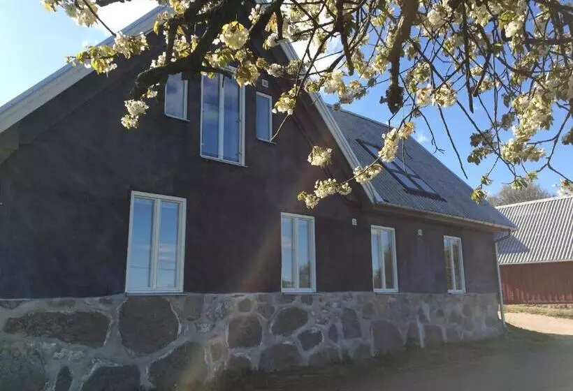 ベッドアンドブレックファースト Cocoon Meetings