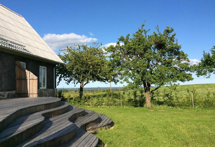 تختخواب و صبحانه Cocoon Meetings