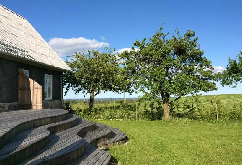 ベッドアンドブレックファースト Cocoon Meetings