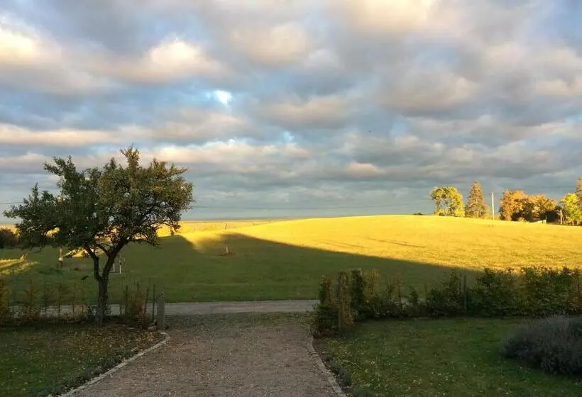 ベッドアンドブレックファースト Cocoon Meetings