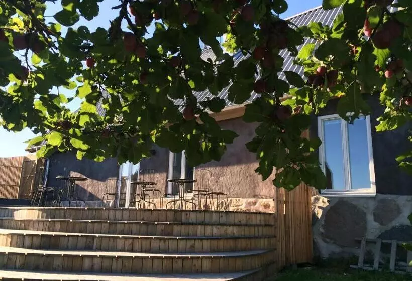 ベッドアンドブレックファースト Cocoon Meetings