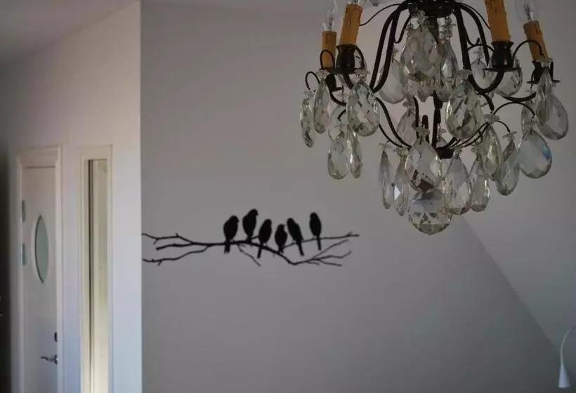 ベッドアンドブレックファースト Cocoon Meetings