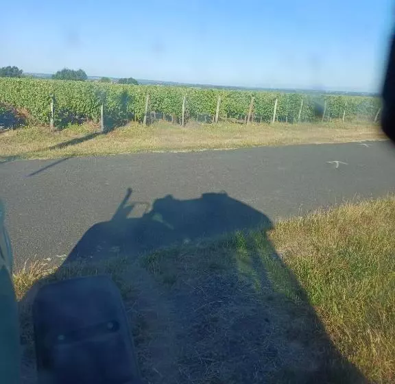 ベッドアンドブレックファースト Le Logis Du Livier