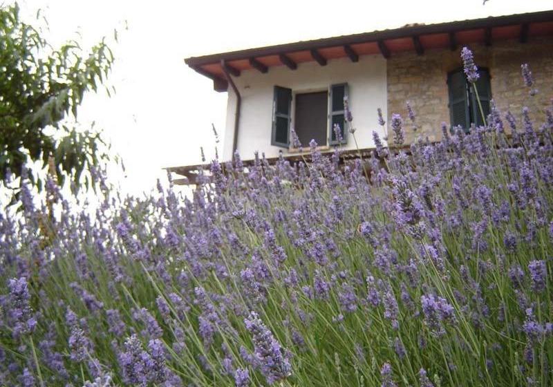 Casa Dell' Abbondanza B&b Agriturismo