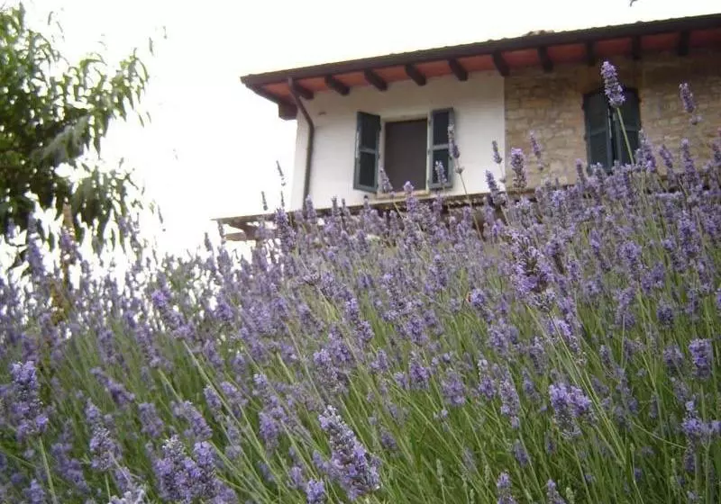 Casa Dell' Abbondanza B&b Agriturismo