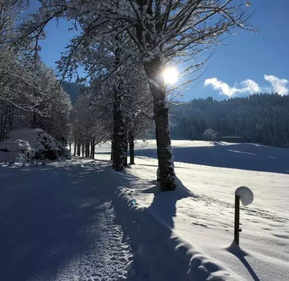 Haus Lechner Apartments