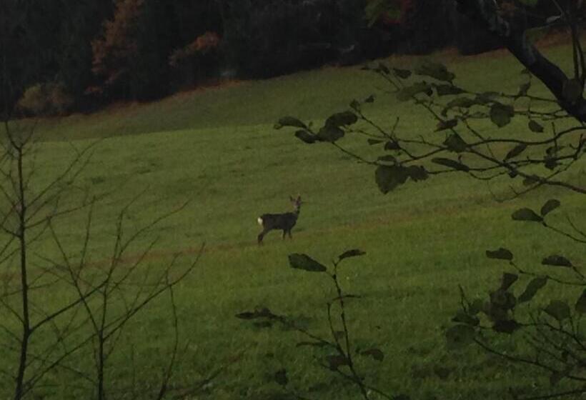 Haus Lechner Apartments
