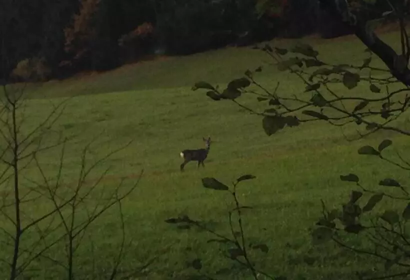 Haus Lechner Apartments