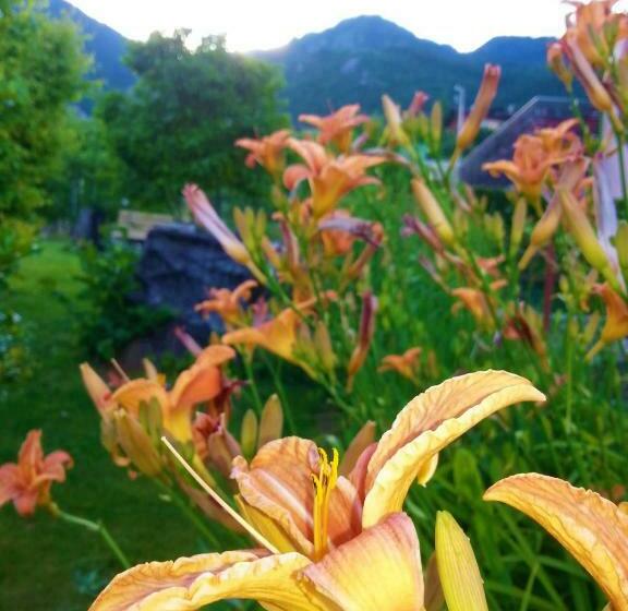 ホテル Agritur Leita