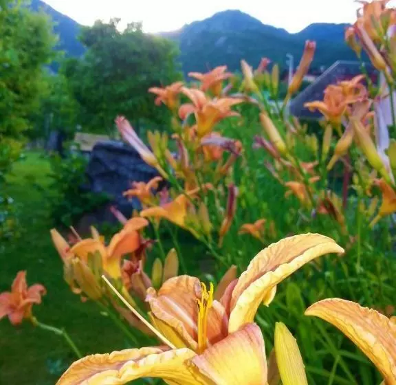 ホテル Agritur Leita