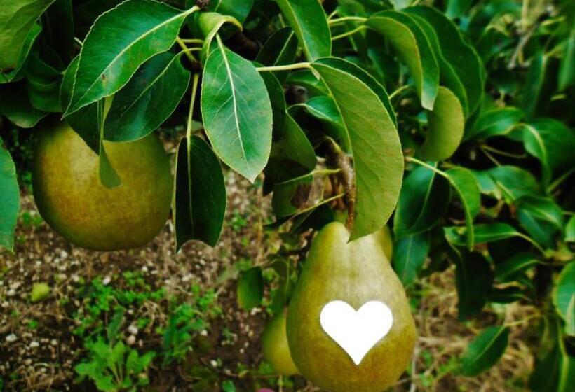 酒店 Agritur Leita