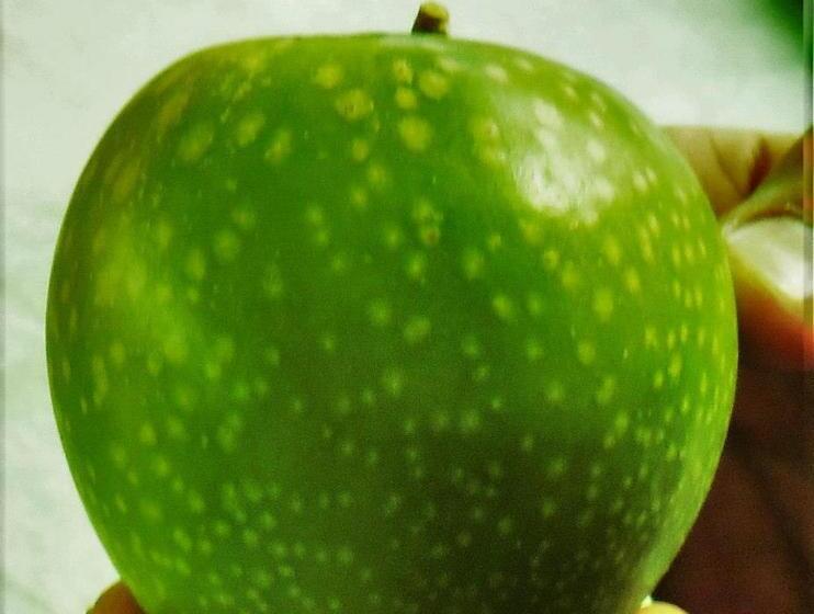 酒店 Agritur Leita