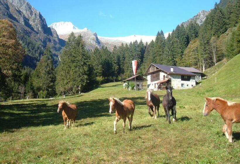 فندق Agriturismo Maso Grisun