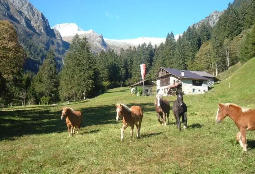 ホテル Agriturismo Maso Grisun