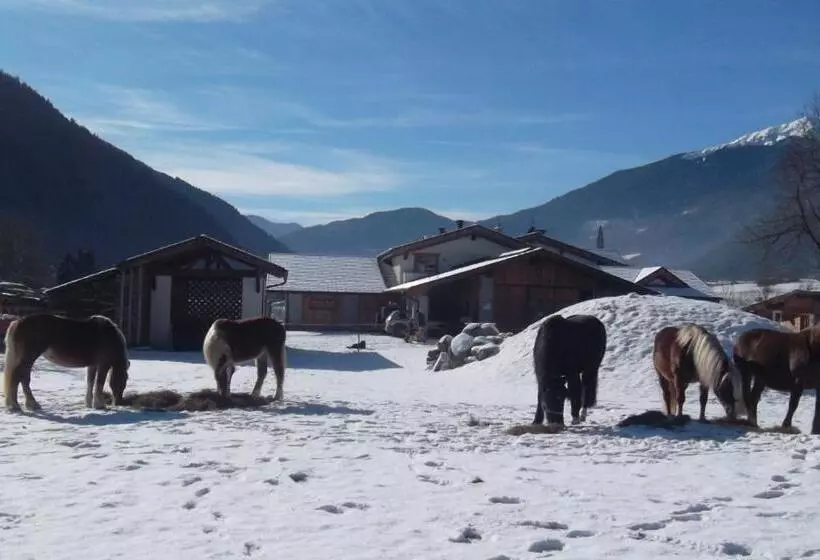 ホテル Agriturismo Maso Grisun