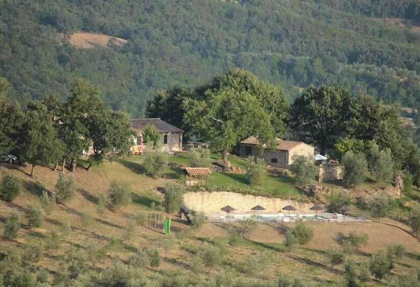 호텔 Bio Agriturismo Poggio Aione