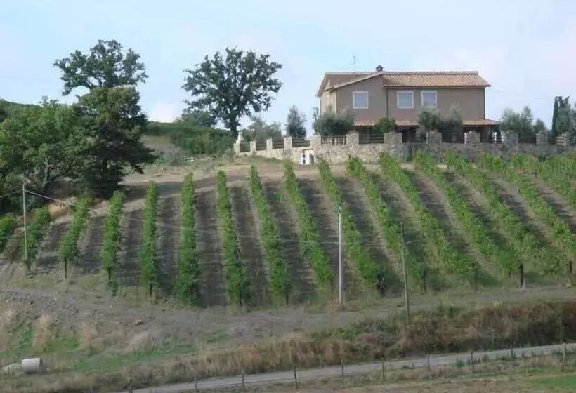 Hotelli Bio Agriturismo Poggio Aione