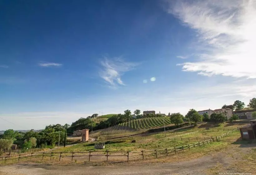 Hotelli Bio Agriturismo Poggio Aione