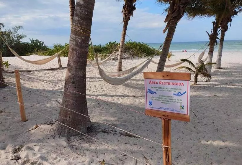 ホテル Casa Mate Beachfront Cabañas El Cuyo