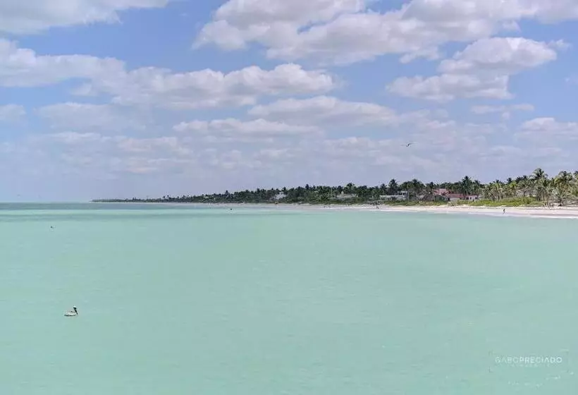 ホテル Casa Mate Beachfront Cabañas El Cuyo