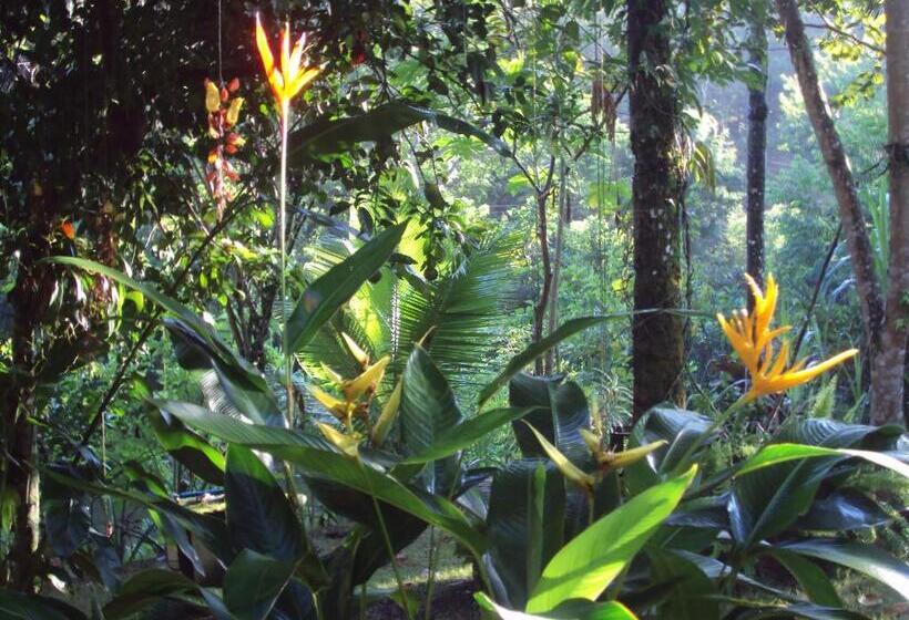 호텔 Pousada Ponte Branca