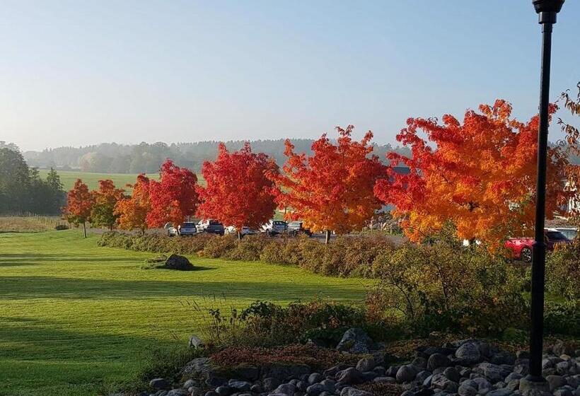 בית מלון כפרי Rimforsa Strand