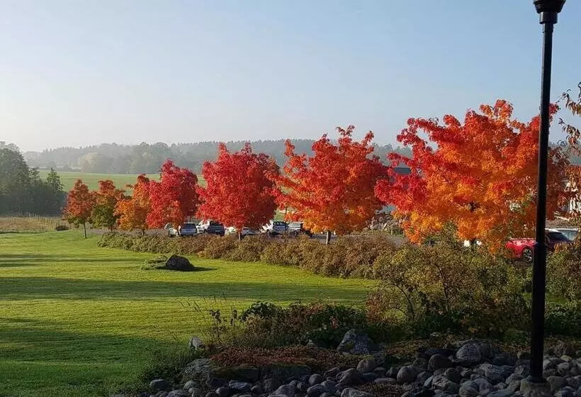 Hotelli Rimforsa Strand