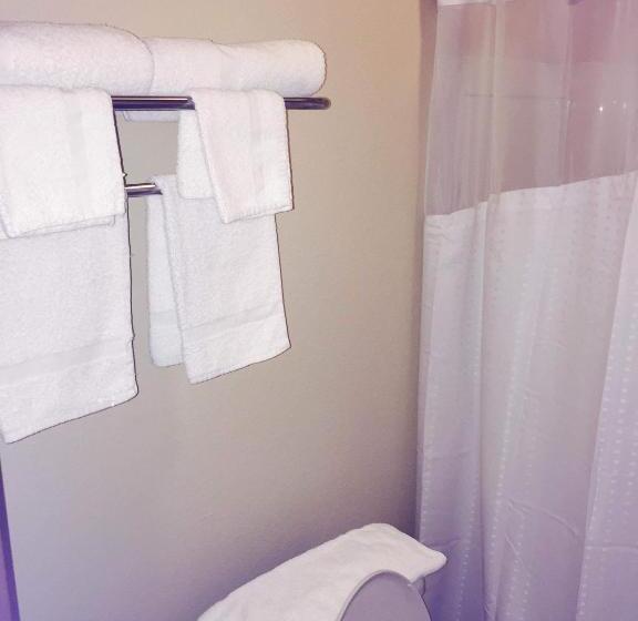 Otel Texan Inn And Suites Tilden